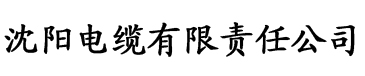 丢丢网站电缆厂logo